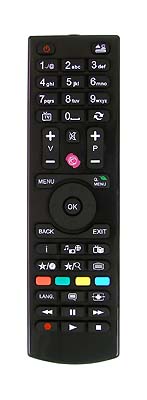 Gogen TVH24N266T replacement remote control different look